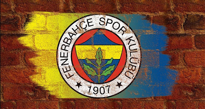 Kelsey Robinson, Fenerbahçe’de