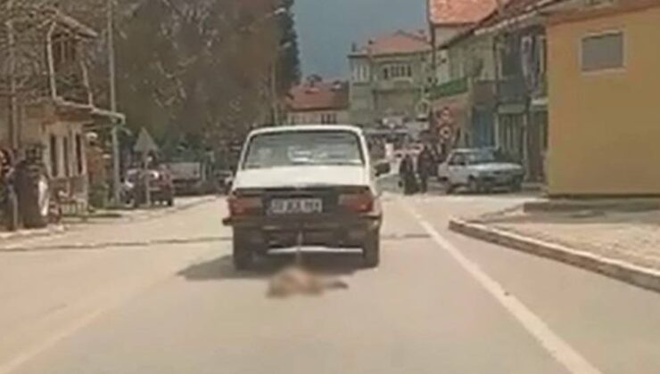 Arabanın gerisine bağladığı köpeği azap ederek katletti
