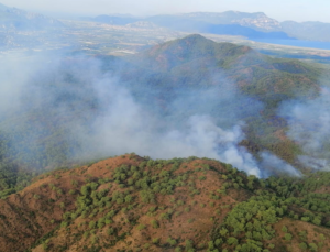 Muğla Valiliğinden orman yangınlarına karşı dikkatli olunması uyarısı