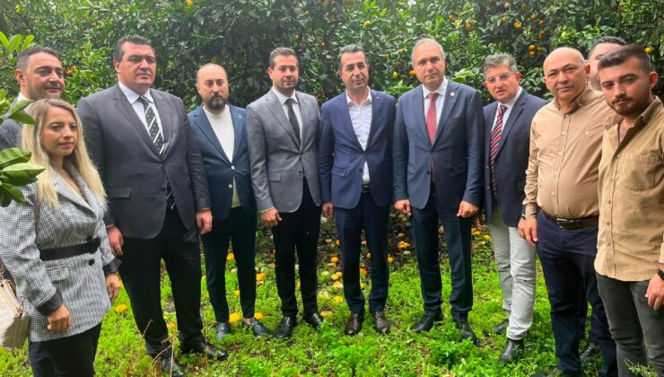 Hataylı narenciye üreticisi: Eserler yerde, kolunda; maliyetler kurtarmıyor, personel sorunları had safhada