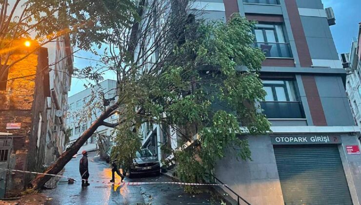İstanbul’da şiddetli sağanak: Fırtına çıktı, ağaçlar devrildi