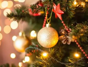 Ertuğrul Özkök: Yılbaşına ulusal ve yerli ayarı geldi; çam ağacı yasak, ahlat ağacı özgür