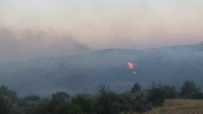 Adana’da orman yangını!