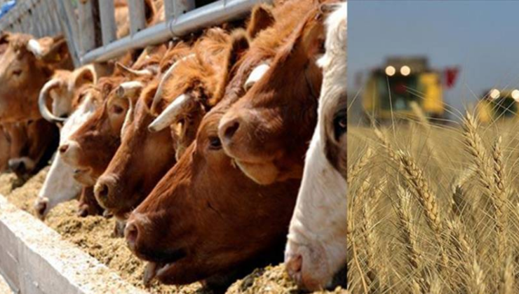 CHP: İktidar partisinin, tarımda yarattığı tahribatı onarma talihi kalmamıştır