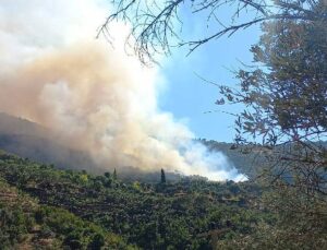 Cumhurbaşkanı Yardımcısı Yılmaz’dan orman yangınları paylaşımı: Ciğerlerimiz yanıyor