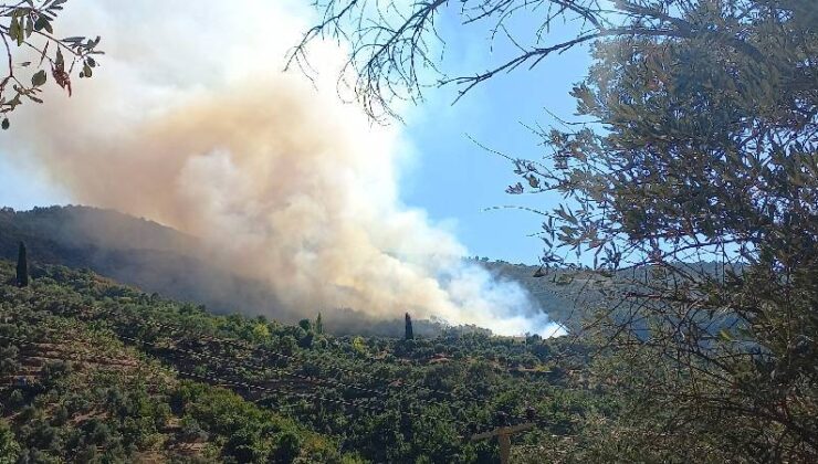 Cumhurbaşkanı Yardımcısı Yılmaz’dan orman yangınları paylaşımı: Ciğerlerimiz yanıyor