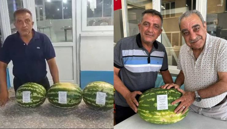 Denizli’de para etmeyen karpuz, düğün davetiyesi oldu; tam 6 ton dağıttı