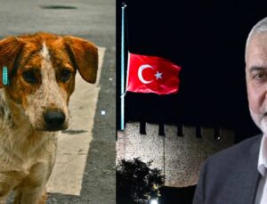 Ertuğrul Özkök: Son anket; Haniye için bayrağı yarıya indirmek, sokak hayvanlarını öldürmek AKP’ye yaramadı