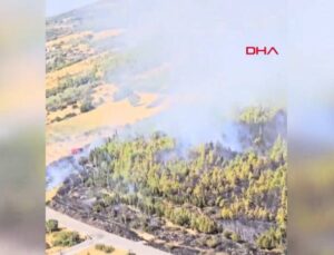 İzmir Bergama’da çıkan orman yangını denetim altına alındı!