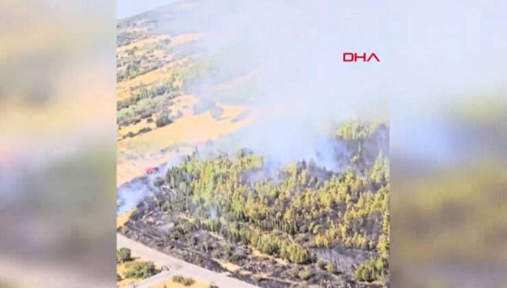 İzmir Bergama’da çıkan orman yangını denetim altına alındı!