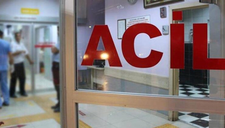 İcra gönderen mesken sahibinin cinsel organını kesti, ağzına sokup yedirmeye çalıştı
