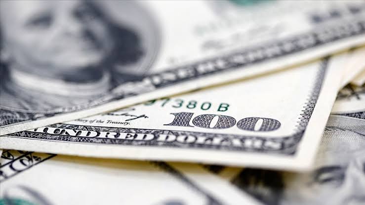 Özel dalın yurt dışı kredi borcu 173 milyar dolara yükseldi