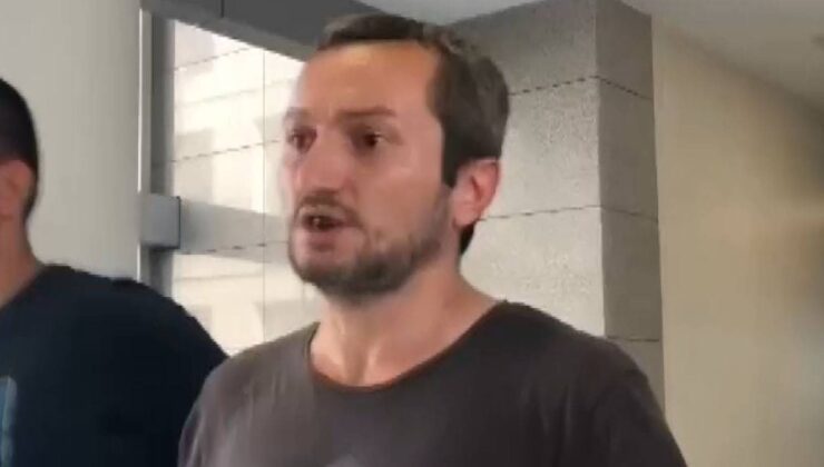 İstanbul’da kedileri asitle öldüren sanık hakkında karar: 8 yıl 3 ay mahpus cezası verildi