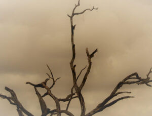 Uzmanı uyardı: İstanbul ve Marmara için ‘çöl tozu’ alarmı!