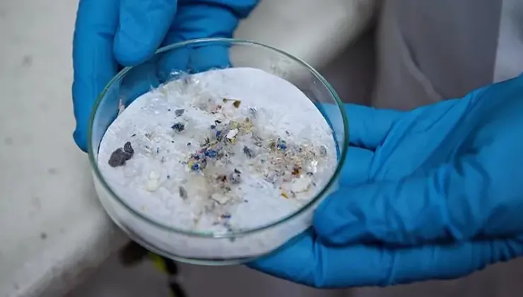 Mikroplastik uyarısı: Bir porsiyon yemekte 500 bine kadar parçacık olabilir!