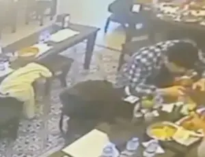 Yemeğin içinden böcek çıktı, müşterinin dudağını ısırdı!