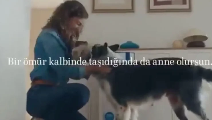 Ertuğrul Özkök: Sayın Aile Bakanı, size Kulaksız köyünden çok önemli itiraz var