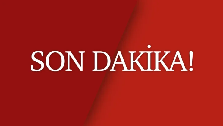 İBB soruşturması kapsamında Ağaç ve Peyzaj A.Ş’ye operasyon: 30 kişi hakkında gözaltı kararı!