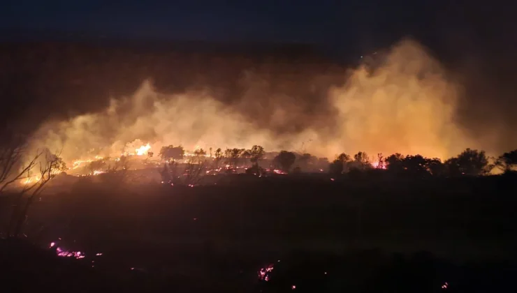 Akın Gürlek açıkladı: 52 orman yangınına ait soruşturmalarda 9 kuşkulu tutuklandı